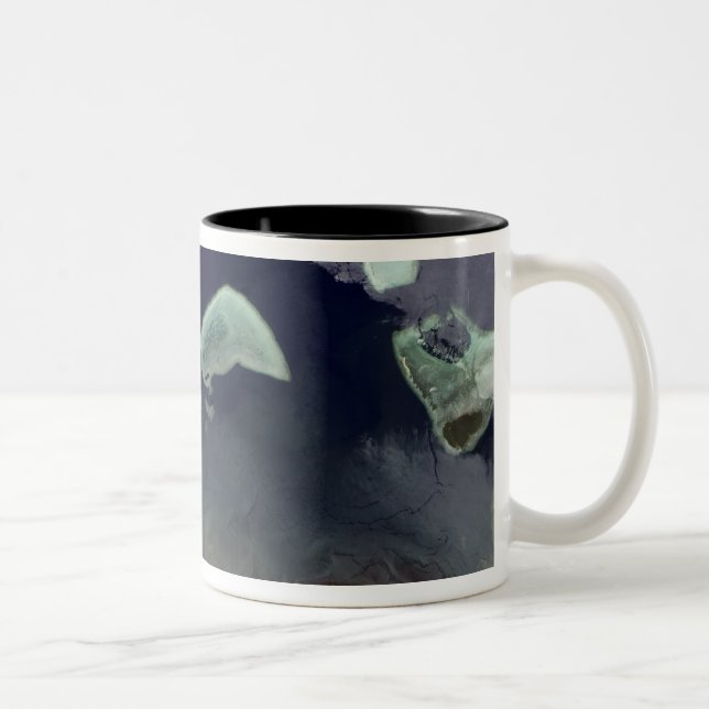 Tasse 2 Couleurs Forêt verte profonde sur terre (Droit)