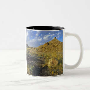 Tasse 2 Couleurs Formations des Badlands au Dinosaur Provincial Par