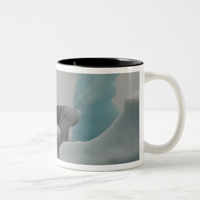 Tasse 2 Couleurs Formations d'iceberg (Droit)