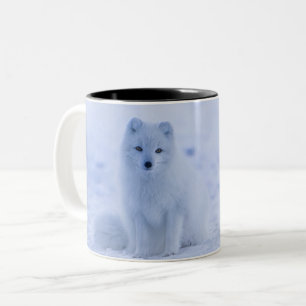 Tasse 2 Couleurs Fox arctique de l'Islande