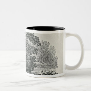 Tasse 2 Couleurs Fox s'échappant, 'l'histoire générale de