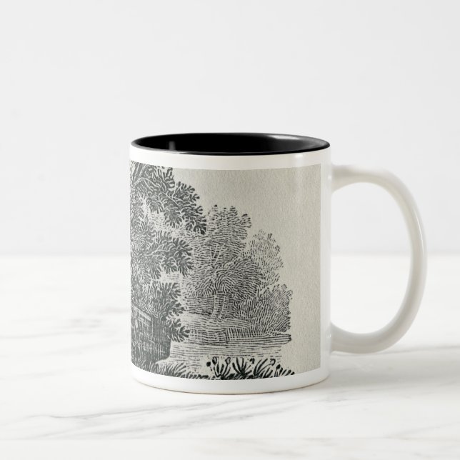 Tasse 2 Couleurs Fox s'échappant, 'l'histoire générale de (Droit)