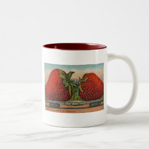 Tasse 2 Couleurs Fraises Giant Fruit Antique Fruit Amusant