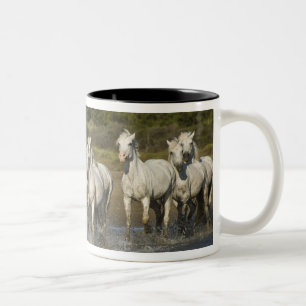 Tasse 2 Couleurs France, Camargue. Chevaux traversent l'estuaire 3