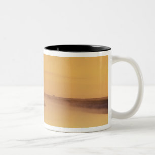 Tasse 2 Couleurs FRANCE, Normandie Mont St. Michel. Lumière du mati