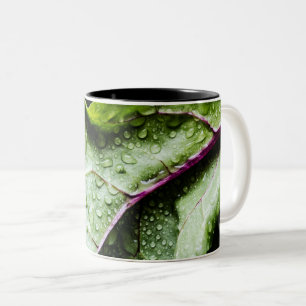 Tasse 2 Couleurs Fruits sains