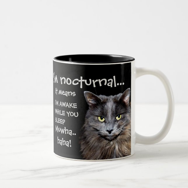Tasse 2 Couleurs Funny Cat est Nocturne Evil Laugh  (Droit)