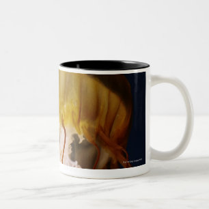 Tasse 2 Couleurs Fuscescens de Chrysaora, ortie Pacifique de mer