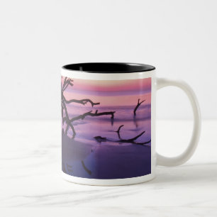 Tasse 2 Couleurs GA Jekyll Island, Cimetière d'arbres sur la plage 