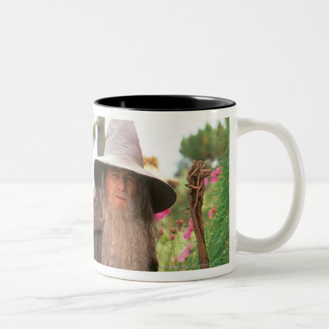 Tasse 2 Couleurs GANDALF™ avec Casquette (Droit)