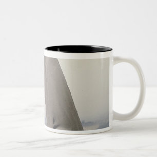 Tasse 2 Couleurs Gargouille sur la balustrade du grand