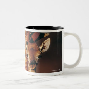 Tasse 2 Couleurs Girafe adulte avec le veau (camelopardalis de
