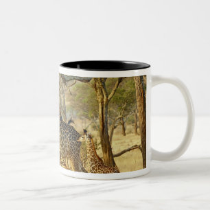Tasse 2 Couleurs Girafe femelle adulte et juvénile, Giraffa