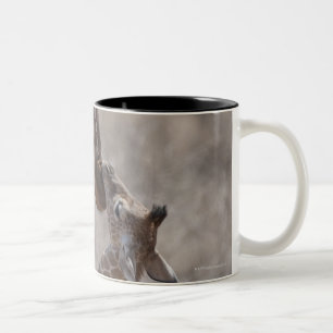 Tasse 2 Couleurs Girafe, Kenya, Afrique