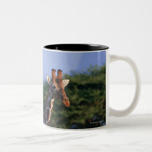 Tasse 2 Couleurs Girafe réticulée 2