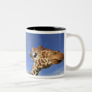 Tasse 2 Couleurs Girafe réticulée (camelopardalis de Giraffa)