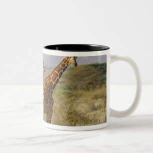 Tasse 2 Couleurs Girafe somalienne, girafe réticulée, Giraffa