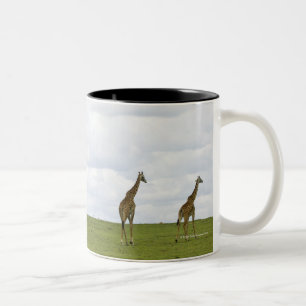Tasse 2 Couleurs Girafes au Kenya, Afrique
