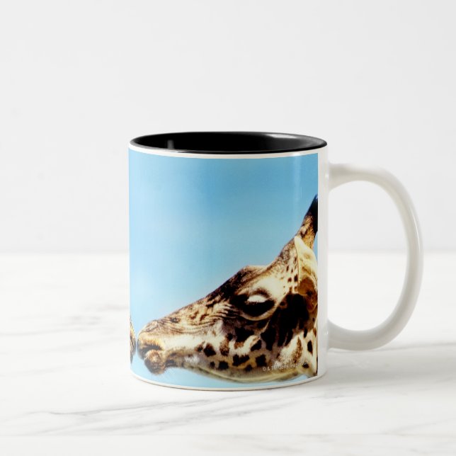 Tasse 2 Couleurs Girafes touchant des nez (Droit)
