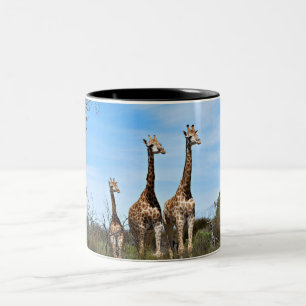 Tasse 2 Couleurs Giraffe Famille Sur Le Sommet De Grassy