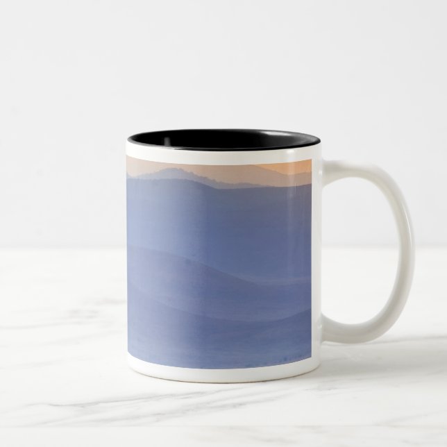 Tasse 2 Couleurs Gnou pendant la migration, Connochaetes (Droit)