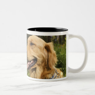 Tasse 2 Couleurs Golden retriever dans le domaine