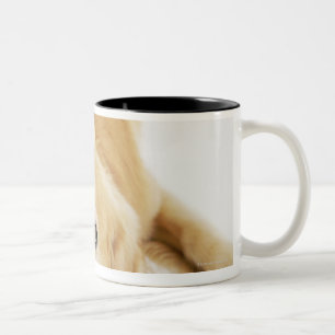 Tasse 2 Couleurs Golden retriever et ornement