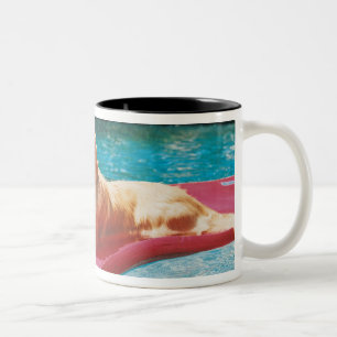 Tasse 2 Couleurs Golden retriever se trouvant sur un lit d'air dans