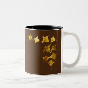 Tasse 2 Couleurs Golden Stingray