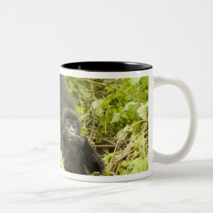 Tasse 2 Couleurs Gorille des montagnes, Gorilla beringei (anciennem