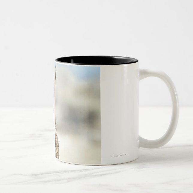 Tasse 2 Couleurs Grand hibou à cornes (virginianus de Bubo) (Droit)