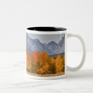 Tasse 2 Couleurs Grand Teton NP, mont Moran et trembles