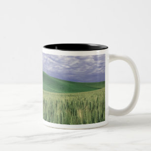 Tasse 2 Couleurs Grange rouge dans un champ de blé et d'orge à Whit