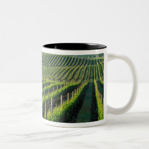 Tasse 2 Couleurs Grapevines en rangées soignées dans la Napa de Cal