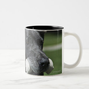 Tasse 2 Couleurs Great dane avec l'os