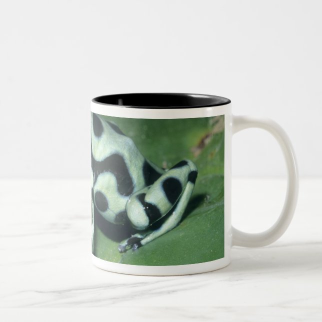 Tasse 2 Couleurs Grenouille à flèche, (Dendrobates auratus) Cahuita (Droit)