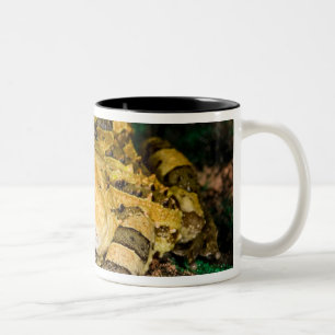 Tasse 2 Couleurs Grenouille cornu du Brésil, Ceratophrys cornuta, 3