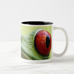Tasse 2 Couleurs Grenouille d'arbre aux yeux rouges (callidryas