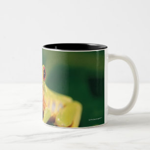 Tasse 2 Couleurs Grenouille d'arbre rouge d'oeil