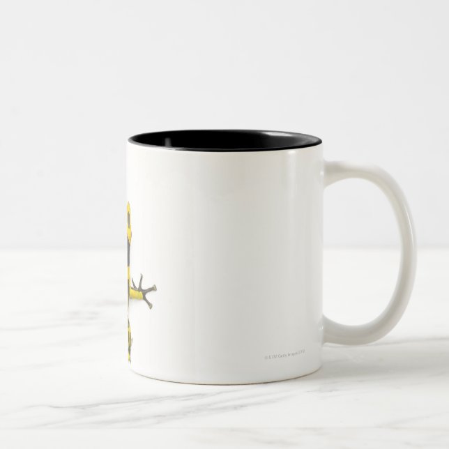 Tasse 2 Couleurs Grenouille de dard de poison de bourdon (Droit)