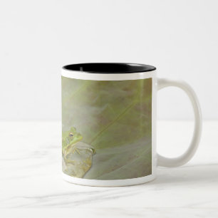 Tasse 2 Couleurs Grenouille et pétale de fleur de lotus, Chine,