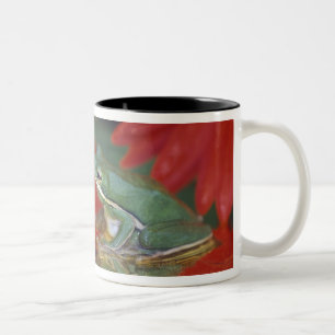 Tasse 2 Couleurs Grenouille et réflexions parmi les fleurs. Crédi