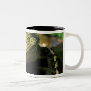 Tasse 2 Couleurs Grenouille taureau.