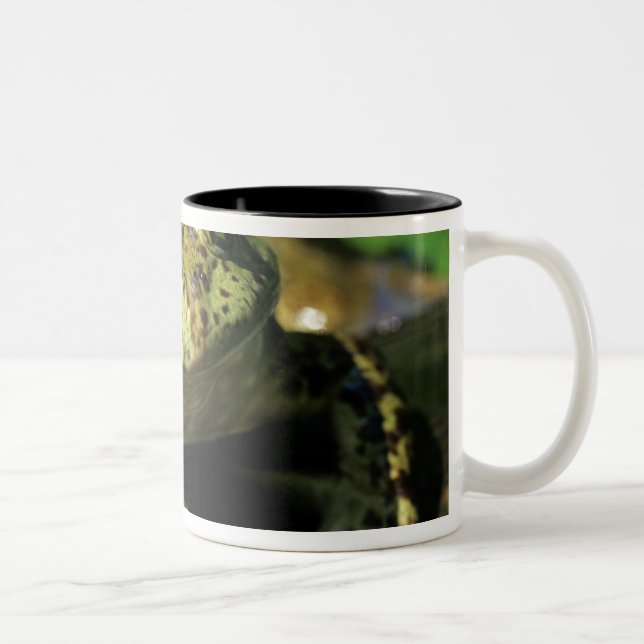 Tasse 2 Couleurs Grenouille taureau. (Droit)