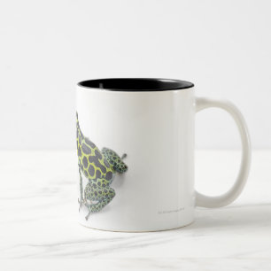 Tasse 2 Couleurs Grenouille verte de dard de poison repérée par