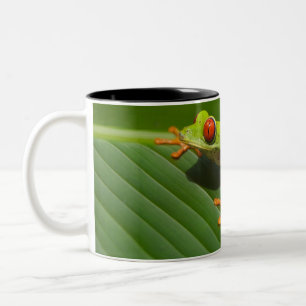 Tasse 2 Couleurs Grenouille verte de la jungle