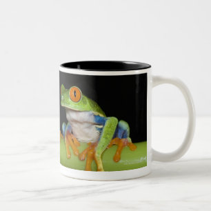Tasse 2 Couleurs Grenouilles d'arbre aux yeux rouges (callidryas