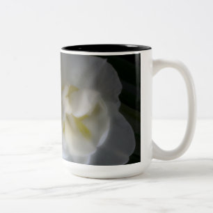 Tasse 2 Couleurs Gros plan Dreamy Narcissus Daffodiles