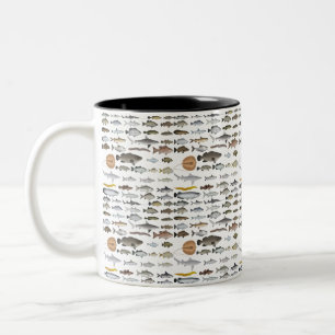 Tasse 2 Couleurs Groupe de poissons d'eau douce d'Australie