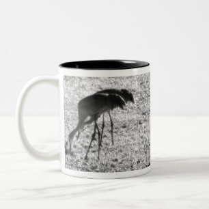 Tasse 2 Couleurs Grues Sand Hill